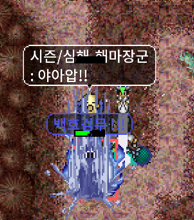 해마장군 마법공격