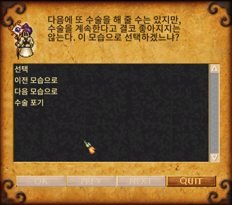 바람의나라 성형