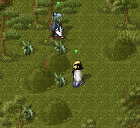 남쪽 묘지 잡초